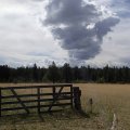 Ominous clouds along the Juniper Ridge trail