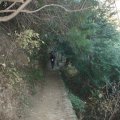 Hiking along Mount Takao