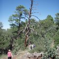 Hikers on the Timber mesa trail