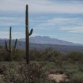 Four peaks as seen from the North Loop trail