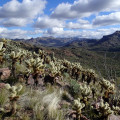 Views from the trail in the Peralta Regional Park