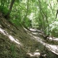 Icehouse canyon trail