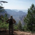 Hiker enjoying the views from the Widforss trail