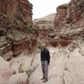 hiker in Jackass creek