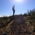 Hiking in the Thunderbird Conservation Park