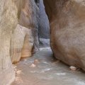 Virgin river narrows - Zion national park