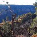 Fall colors on the Old Bright Angel trail