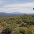 views from the scenic loop hike