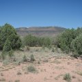 Juniper spring hike