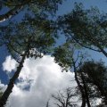 The sky on the Sunset trail