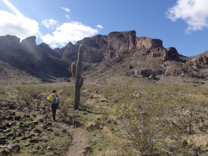 Hiking on the Saddle mountain trail