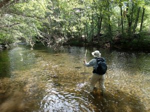 Crossing West Clear Creek along the Bull Pen ranch trail