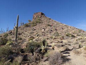 Brown&#039;s Mountain - McDowell Sonoran preserve