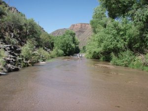 Aravaipa creek