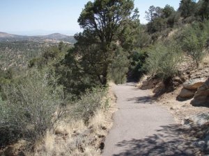 Along the Thumb Butte trail