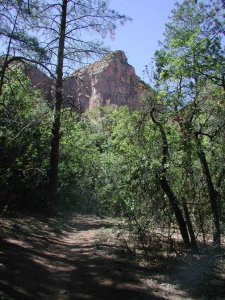 Views from Boyton canyon