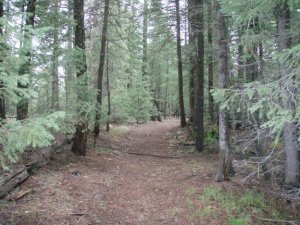 West fork of the Black river trail