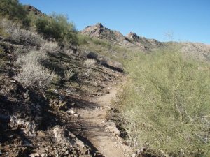 Trail to Stoney Mountain