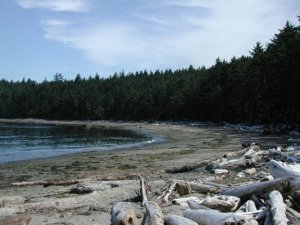 Hiking along the Sand point trail