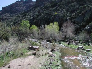 rare water in a desert wash on the way to dripping springs