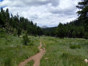 Sandy&#039;s canyon trail