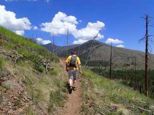 Hiking on the Little Bear trail