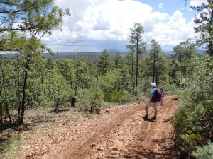 Hiking along the Buena Vista Trail