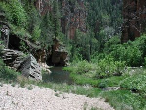 West Clear creek