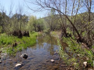 crossing Cave Creek