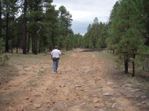 Hiking to the Canyon point rim trail