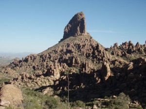 Weavers needle