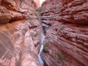 Buck Farm Canyon - Grand Canyon