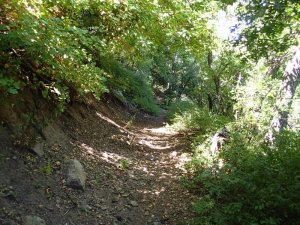 Hiking along the Six shooter trail