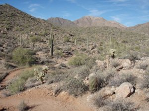 Hiking up to Thompson peak