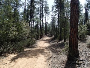 Houston loop trail