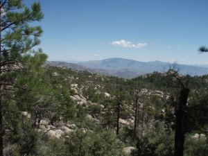 Views from the Mount Lemmon trail