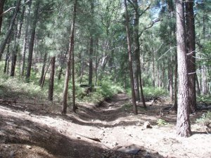 Maverick mountain