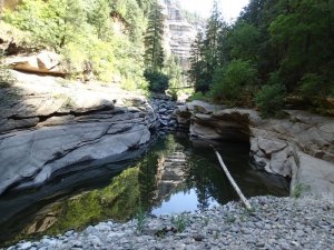 Pool in Pumphouse Wash