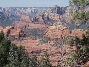 Red rock views from the Jacks canyon trail