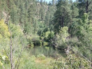 Telephone Ridge trail