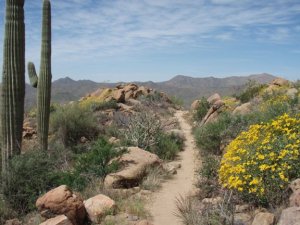 Ballantine creek trail