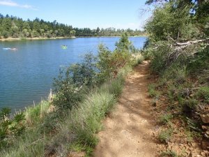 Hiking the Lynx lake trail