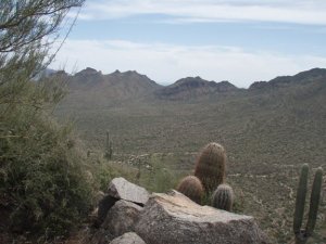 EJ peak trail