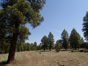 Hiking along the Contenental Loop