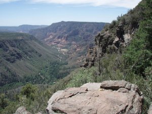 Views from the A.B. Young trail