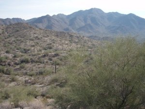 Views along the Rock Knob loop trail