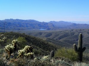 Saguaro lake as seen from Cane springs road