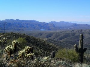 Saguaro lake as seen from Cane springs road