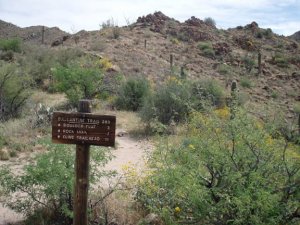 Pine creek loop trail