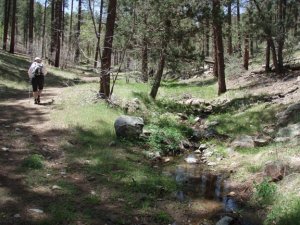 Hiker enjoying the Miller creek trail